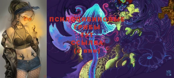 стафф Осташков