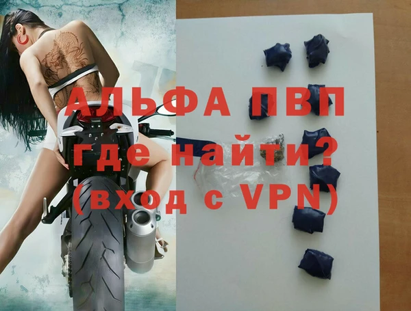 стафф Осташков