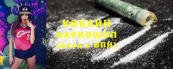 винт Няндома