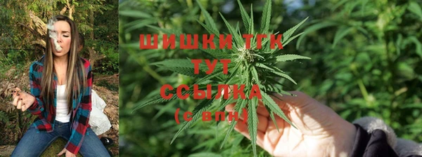 стафф Осташков