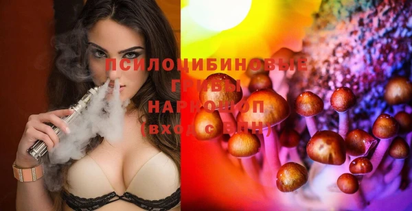гидра Остров