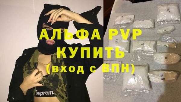 стафф Осташков