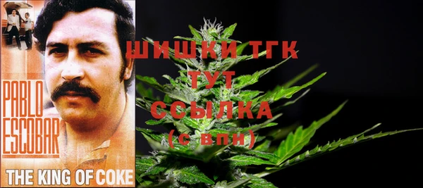стафф Осташков